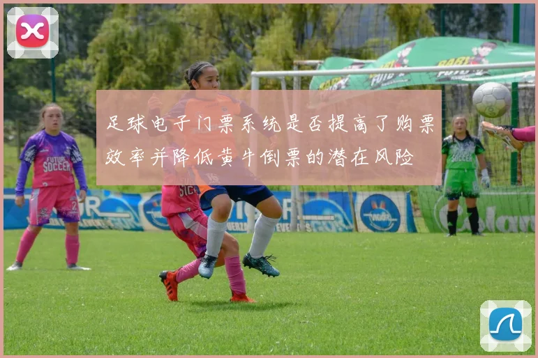 足球电子门票系统是否提高了购票效率并降低黄牛倒票的潜在风险