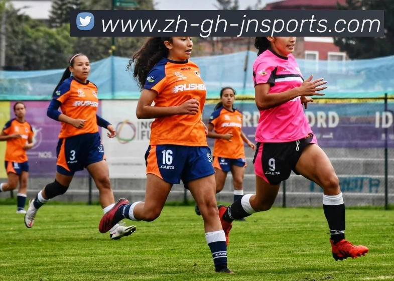 江南体育APP下载平台生态图